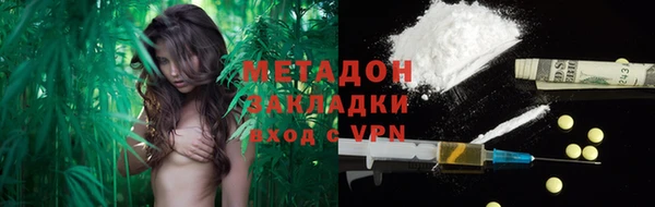шишки Аркадак