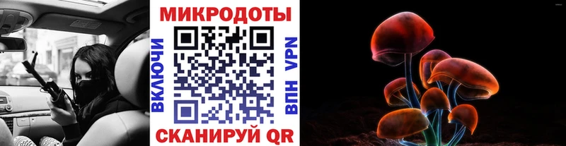 как найти закладки  Петрозаводск  Псилоцибиновые грибы прущие грибы 