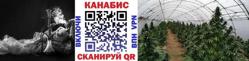 Каннабис VHQ  Петрозаводск 